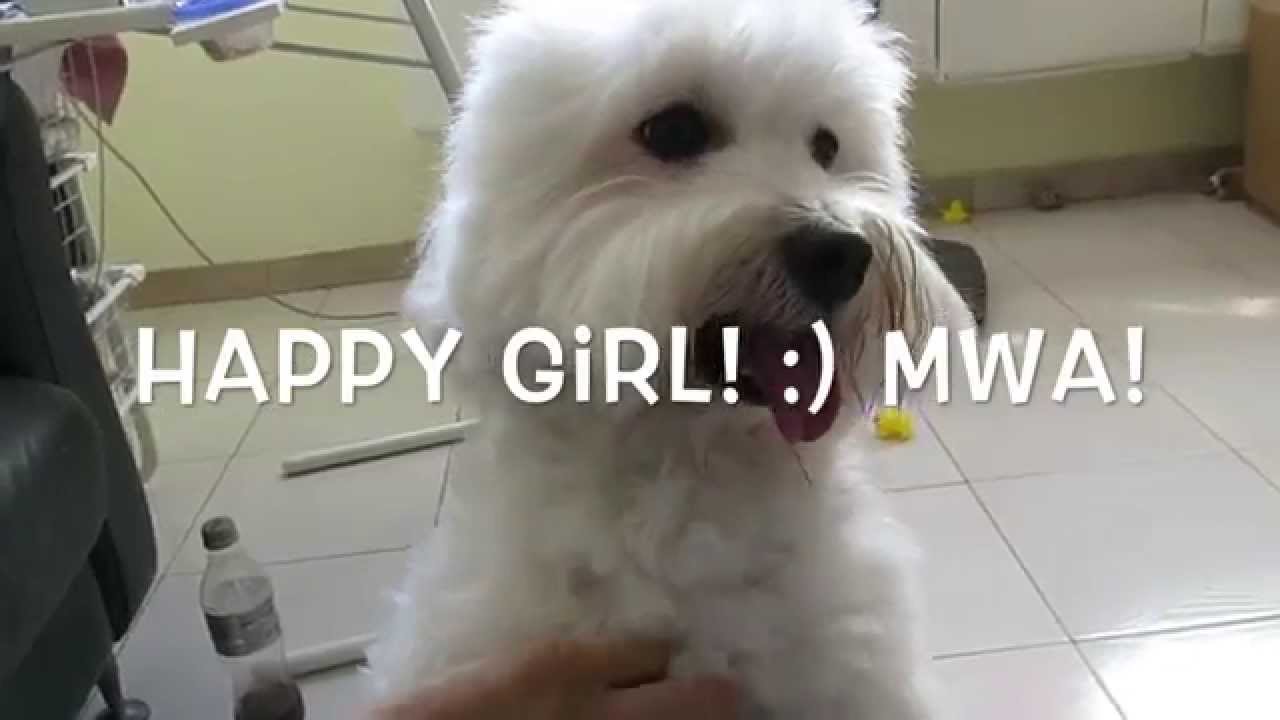 FEEDMYPAWS - VLOG 17052015