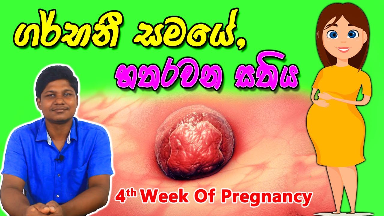 Pregnancy 4th Week | Sinhala Medical Review | අම්මයි බබයි