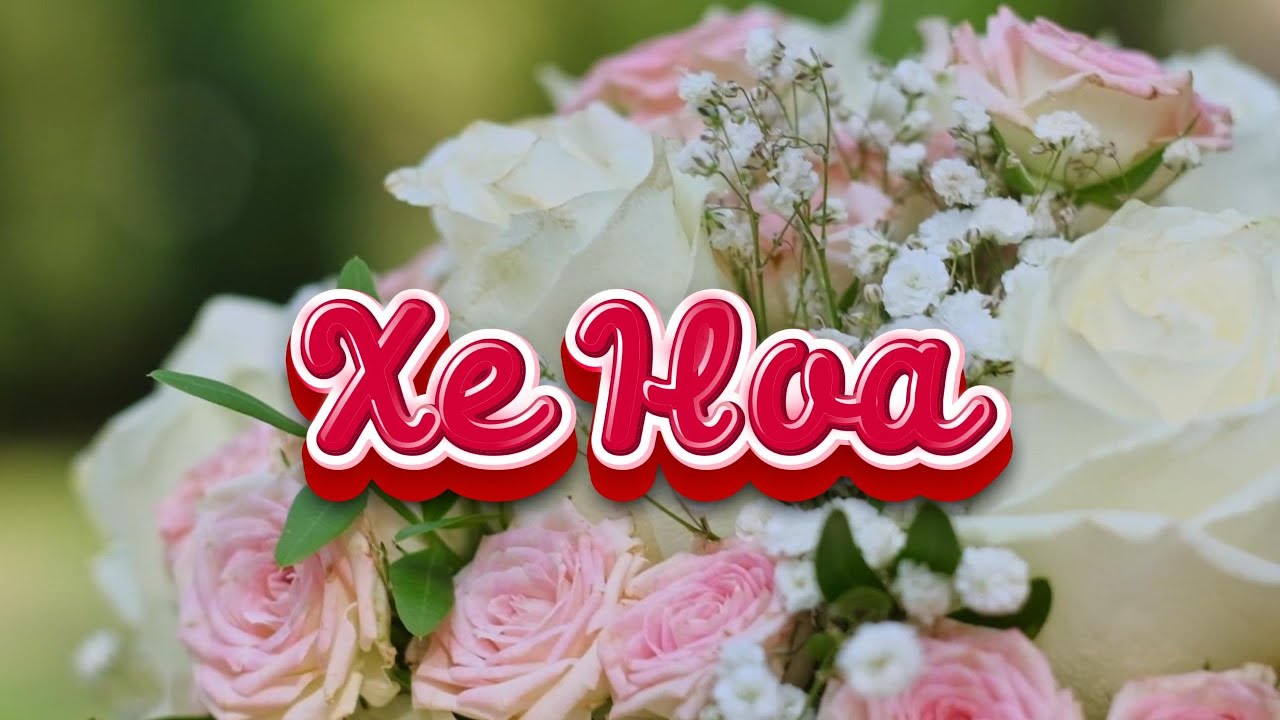 XE HOA [COVER] | V&acirc;n Quang Long | #aicover #xehoa