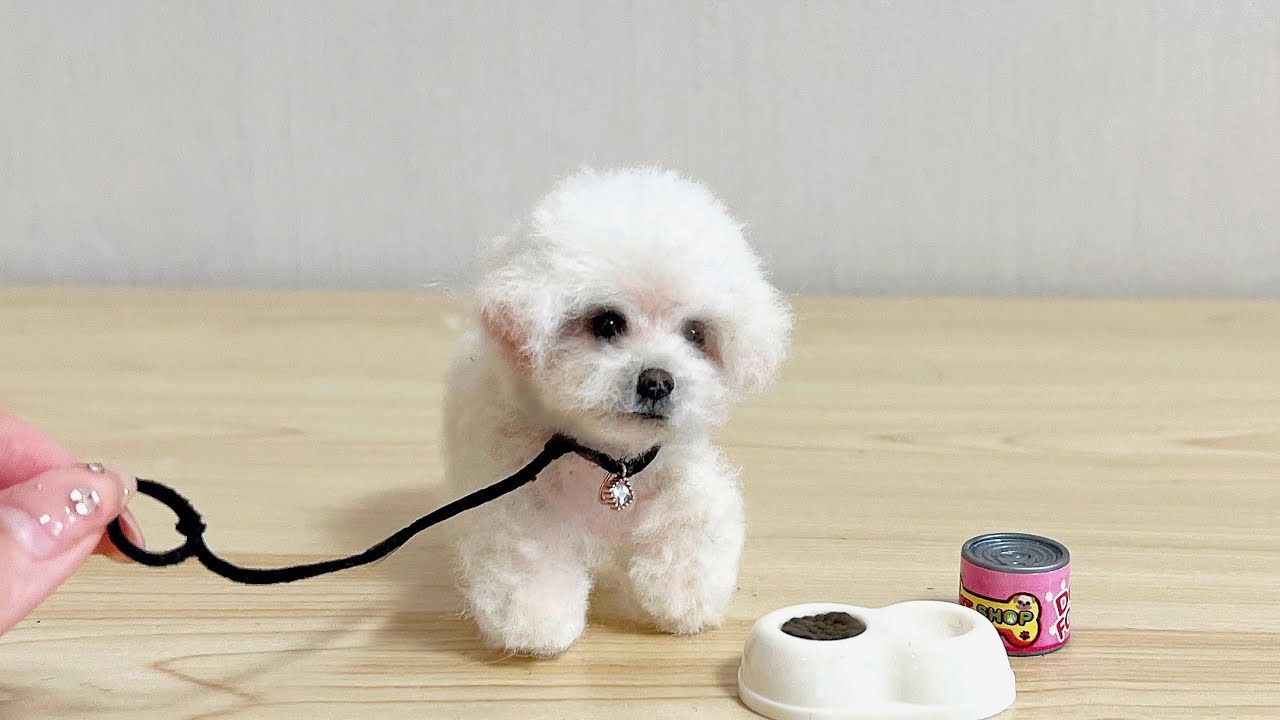 양모펠트로 비숑 만들기 (귀여워요) Making a bichon with wool felt (cute)