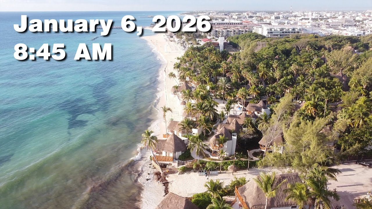 Daily Sargassum Sargasso Seaweed Report at Playa del Carmen, Mexico - January 6, 2026 #sargassum