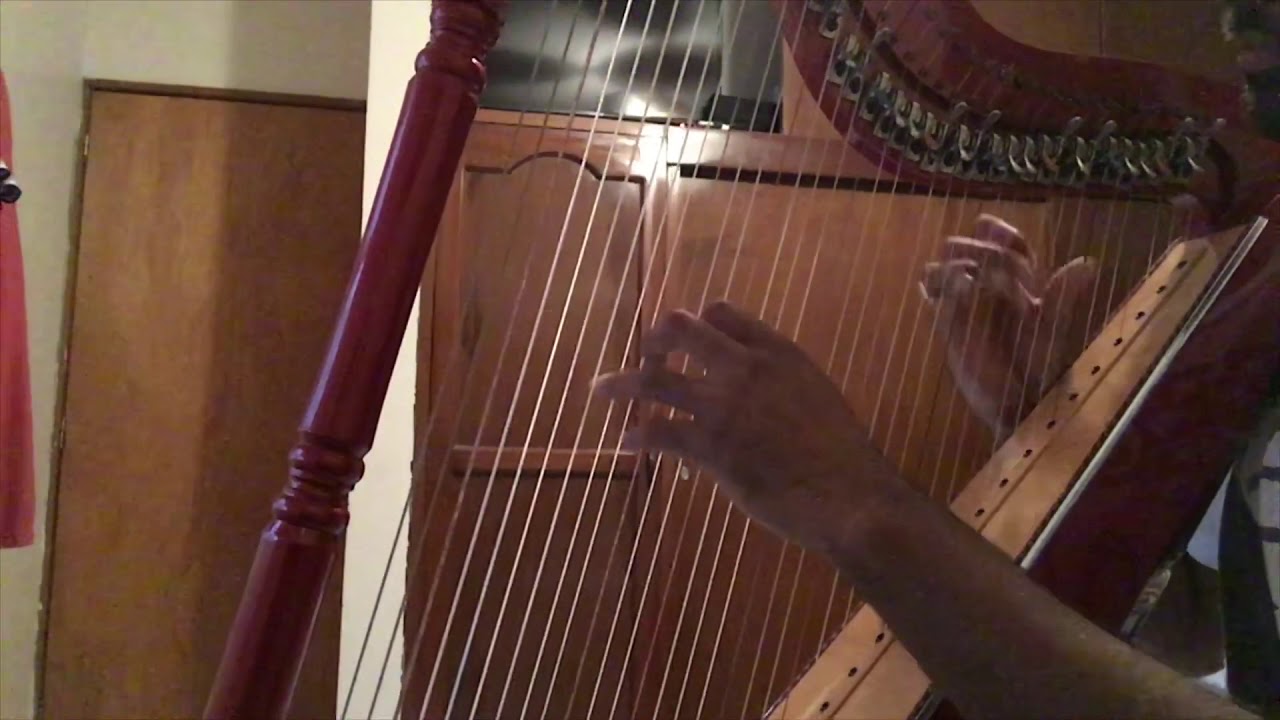 Tutorial “El Cascabel” // Lorenzo Barcelata (Son Jarocho)