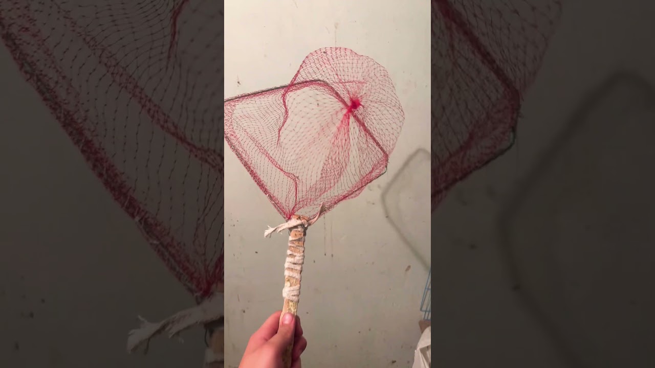 Home made bird net 