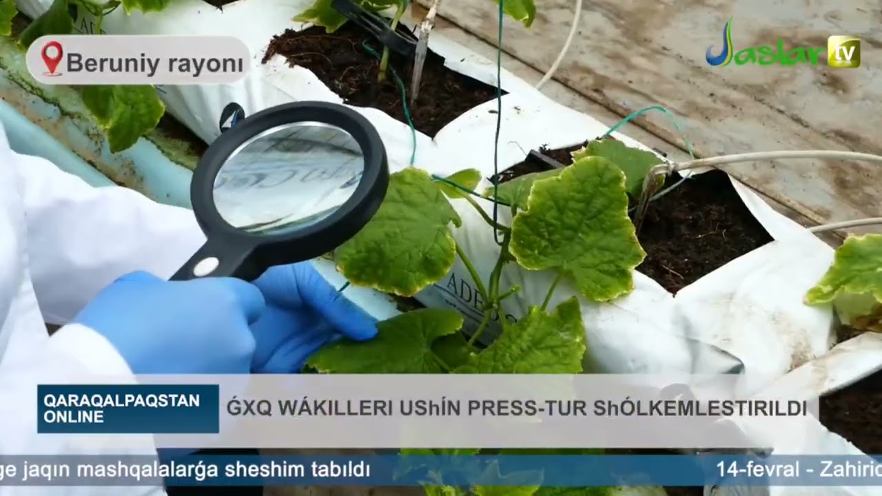 Ǵalaba xabar quralları ushın ıssıxanalarǵa press-tur shólkemlestirildi.