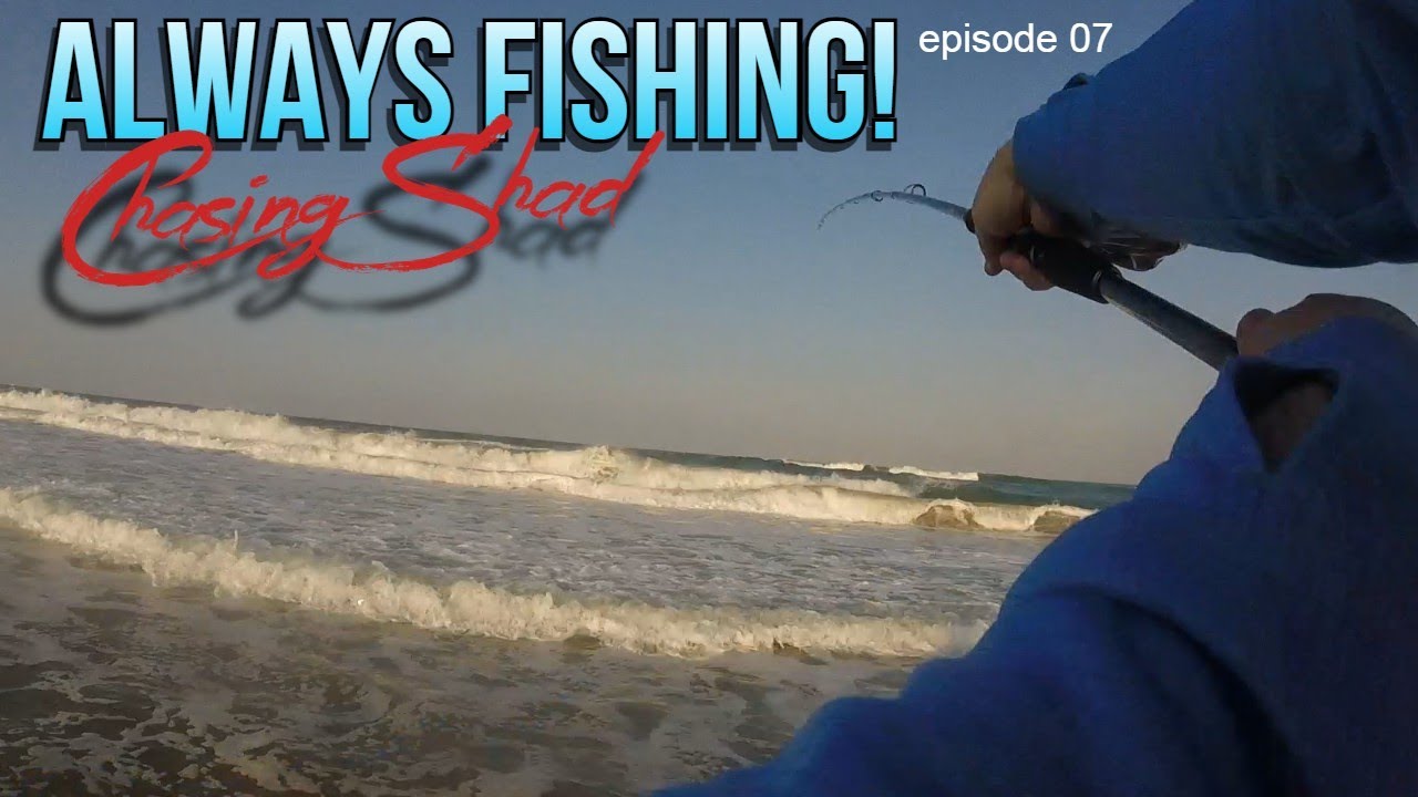 Always Fishing! 07 Chasing shad