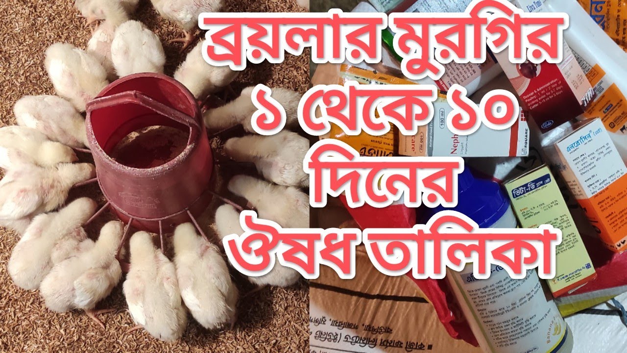 ব্রয়লার মুরগির ১ থেকে ১০ দিনের ওষুধ তালিকা 🐓 | Broiler Chicken Medicine List 1-10 Days