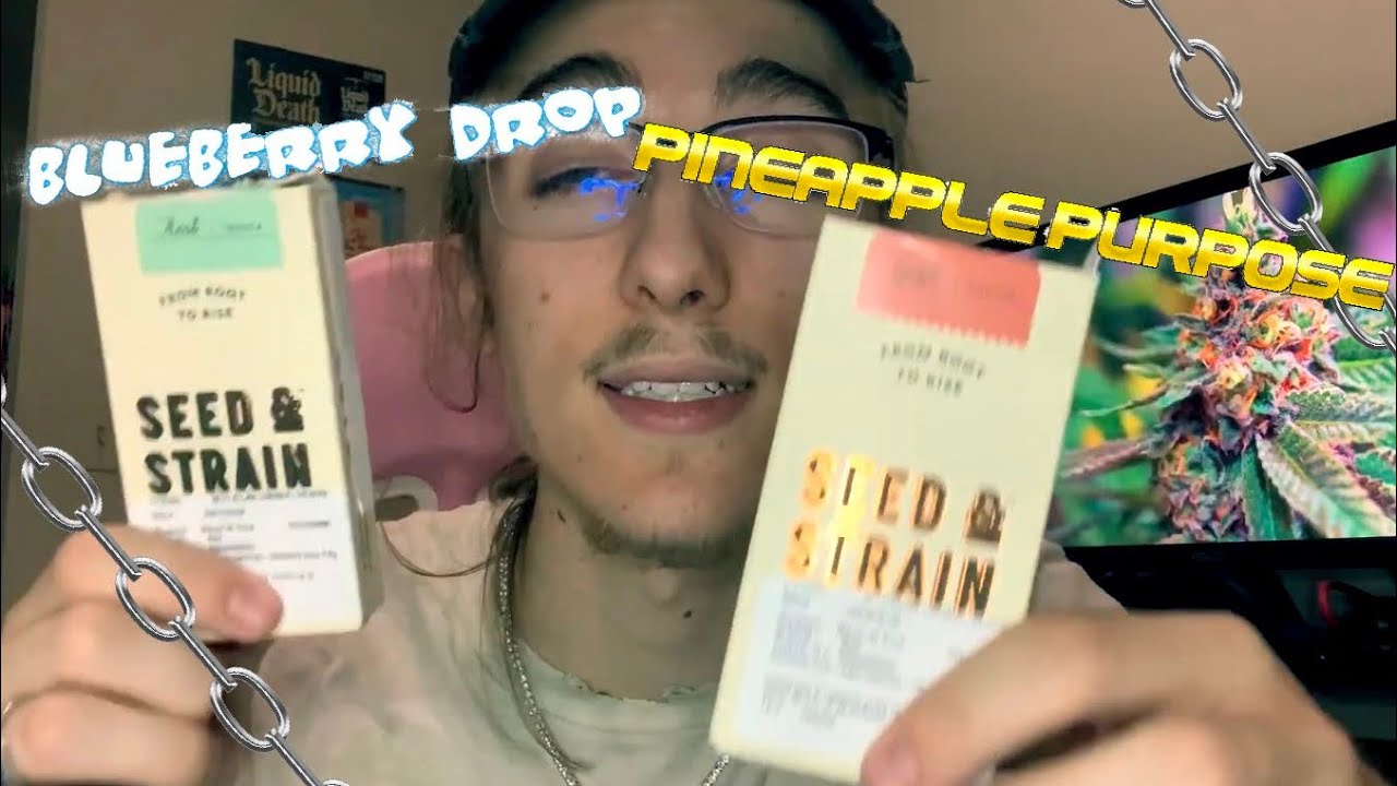 SEED & STRAIN PINEAPPLE AND BLUEBERRY REVIEW
