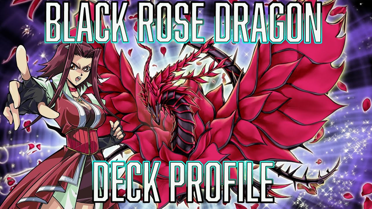 Yu-Gi-Oh! Black Rose Dragon Deck Profile Sep 2024