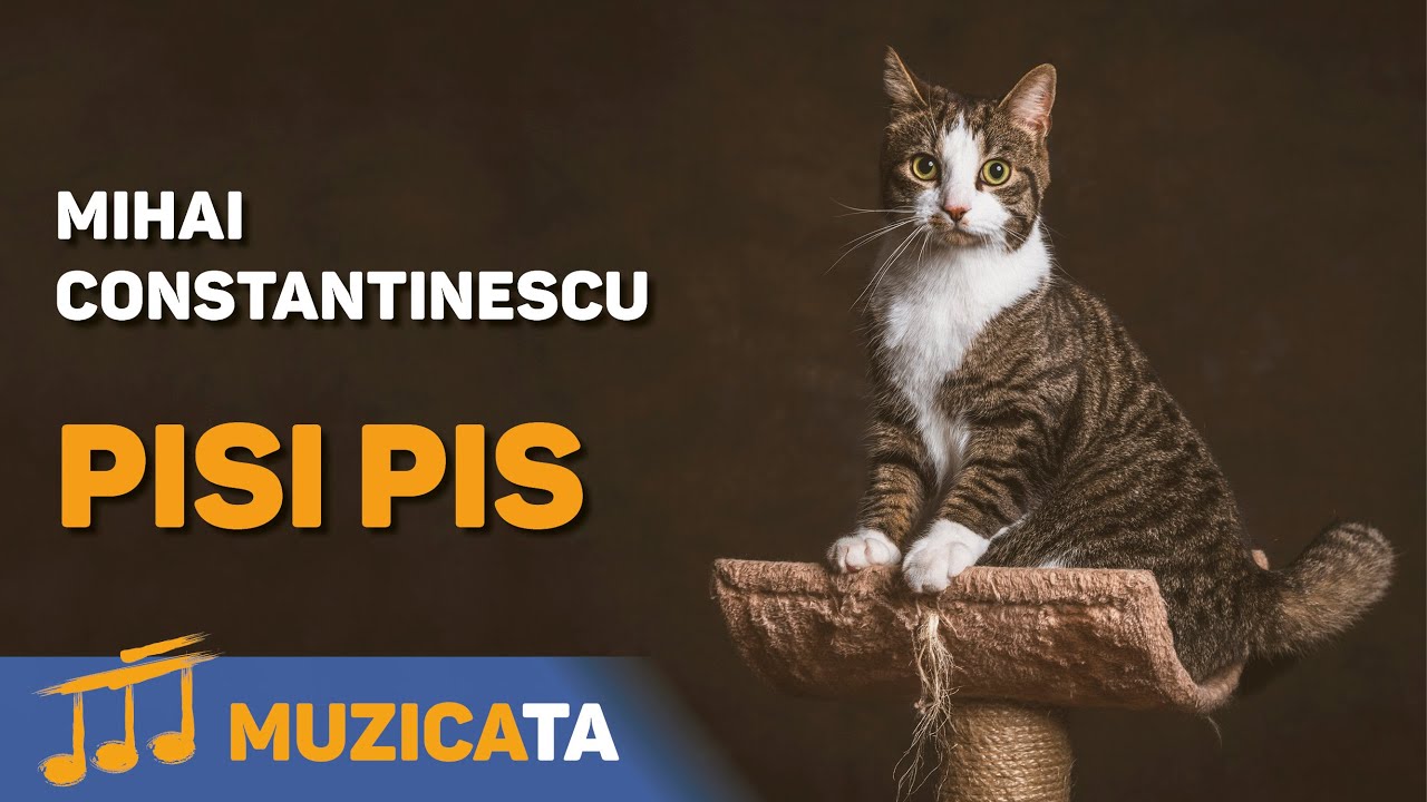 Pisi pis - Mihai Constantinescu
