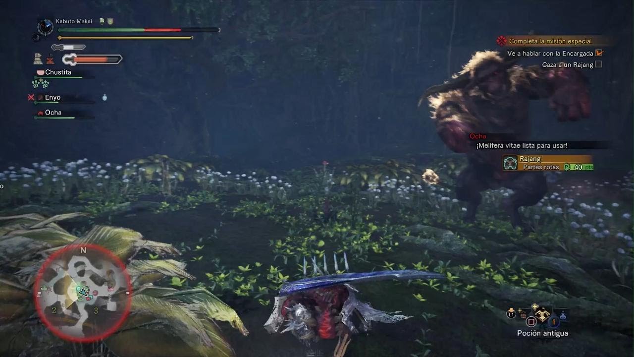 MWIcerborn Rajan First Try