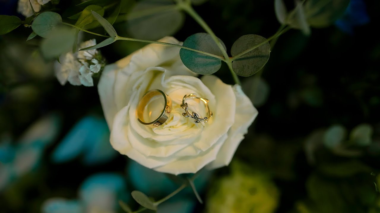 K E V I N  &  K R Y S T I N   -  Photo Slideshow | Entire Wedding