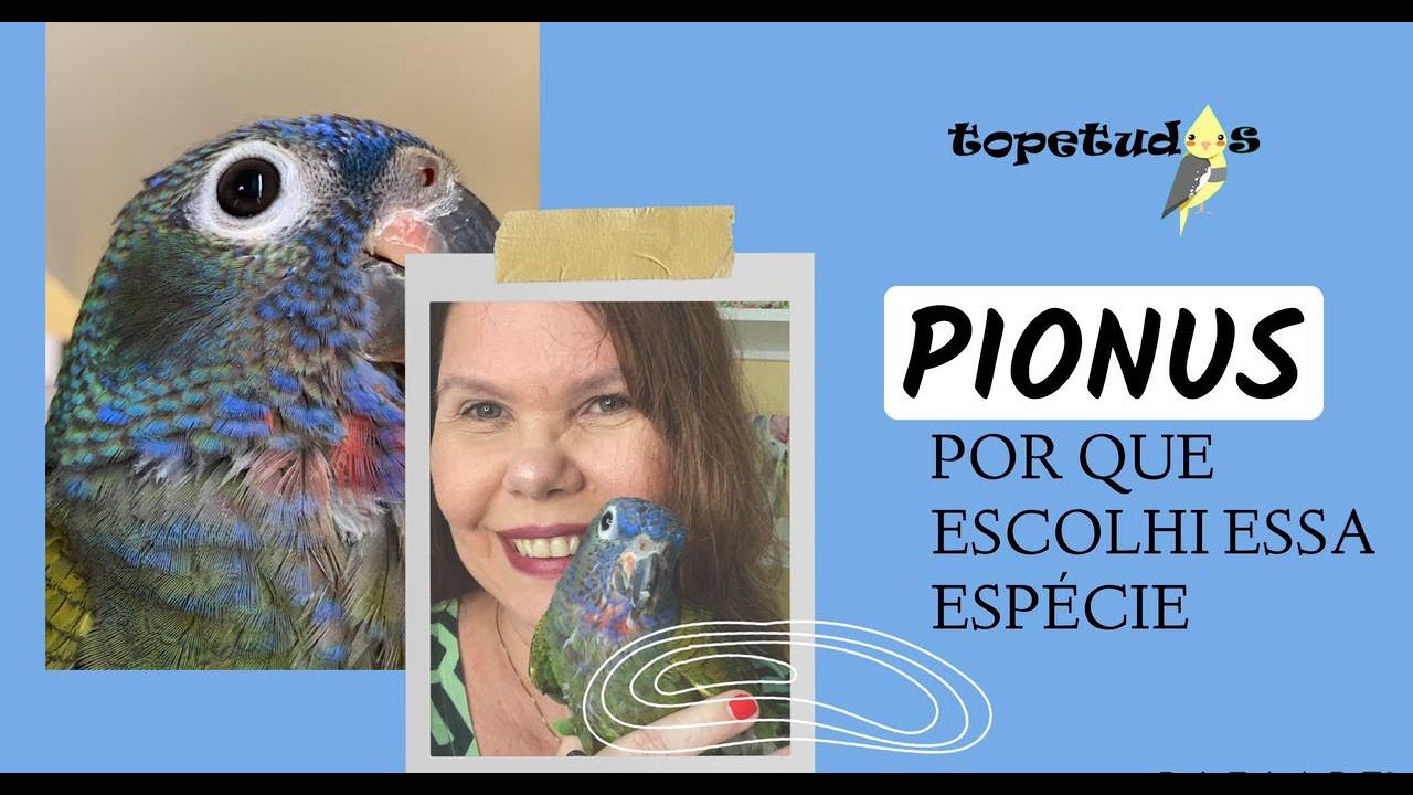 POR QUE ESCOLHI A ESP&Eacute;CIE PIONUS