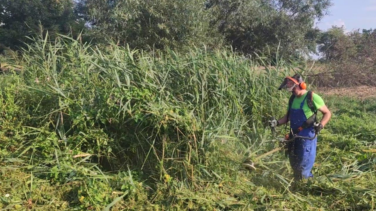 #19 Żyłka 4.0mm, karczowanie. Czy trójząb jest jeszcze potrzebny? Stihl FS 460.