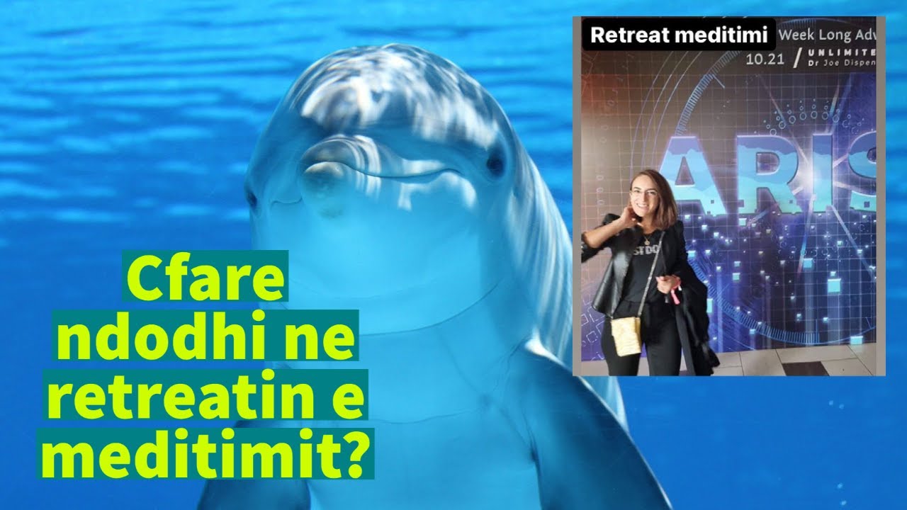 Eksperienca ime ne nje retreat meditimi, rastet e sherimeve, udhezime per meditimin e rradhes.