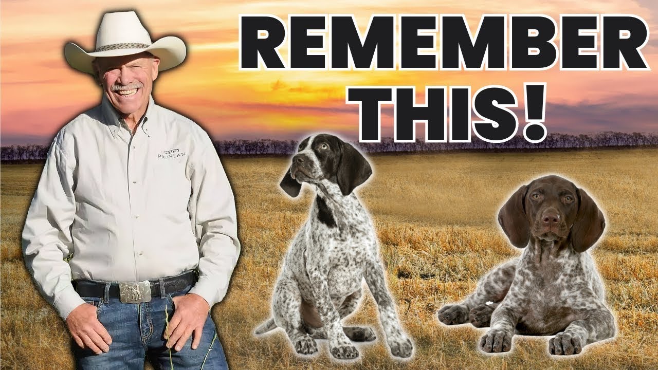 HOW TO Raise a Puppy - MOST IMPORTANT Stage of Their Life