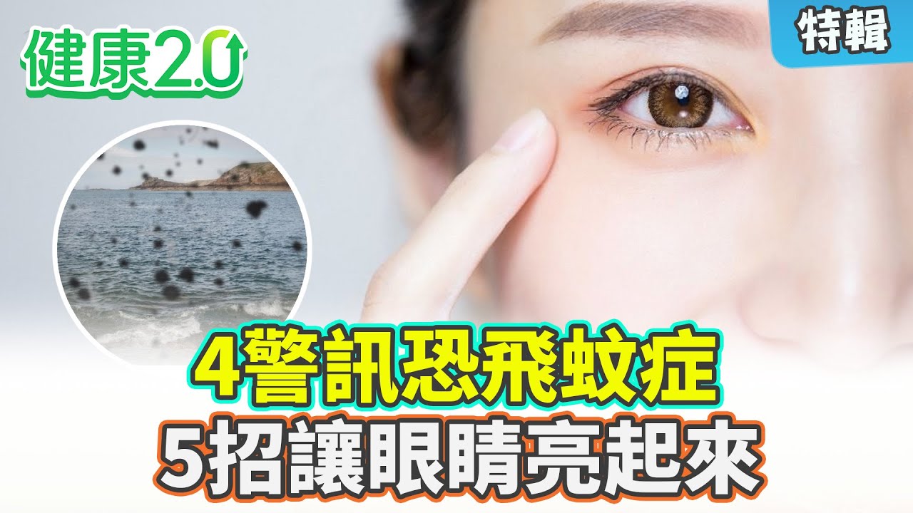 【特輯】4警訊恐飛蚊症 沒注意當心變視網膜剝離！5招護眼睛 助氣血循環 瞬間明亮！｜健康2.0 #鄭凱云 #陳欣湄 #韋汝