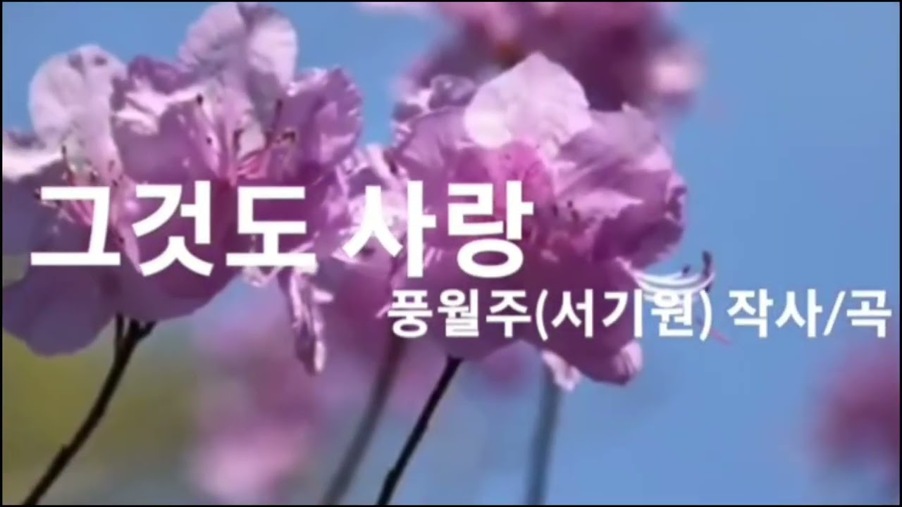 #그것도사랑 #풍월주 E키 리메이크 녹음 2025년 9월 발표 싱글앨범 (서기원 자작곡)