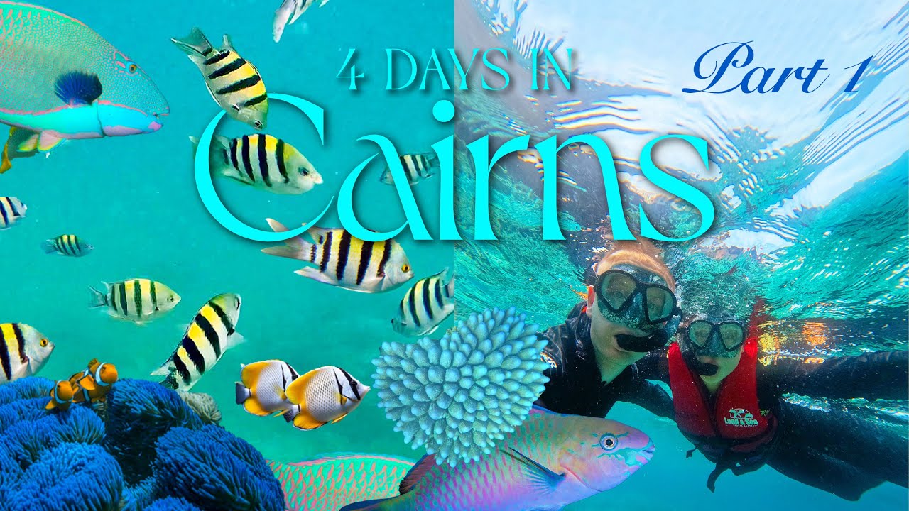 Best Snorkelling Spot in the Great Barrier Reef 🪸 🐠 4 Days in Cairns | Part 1🏝️