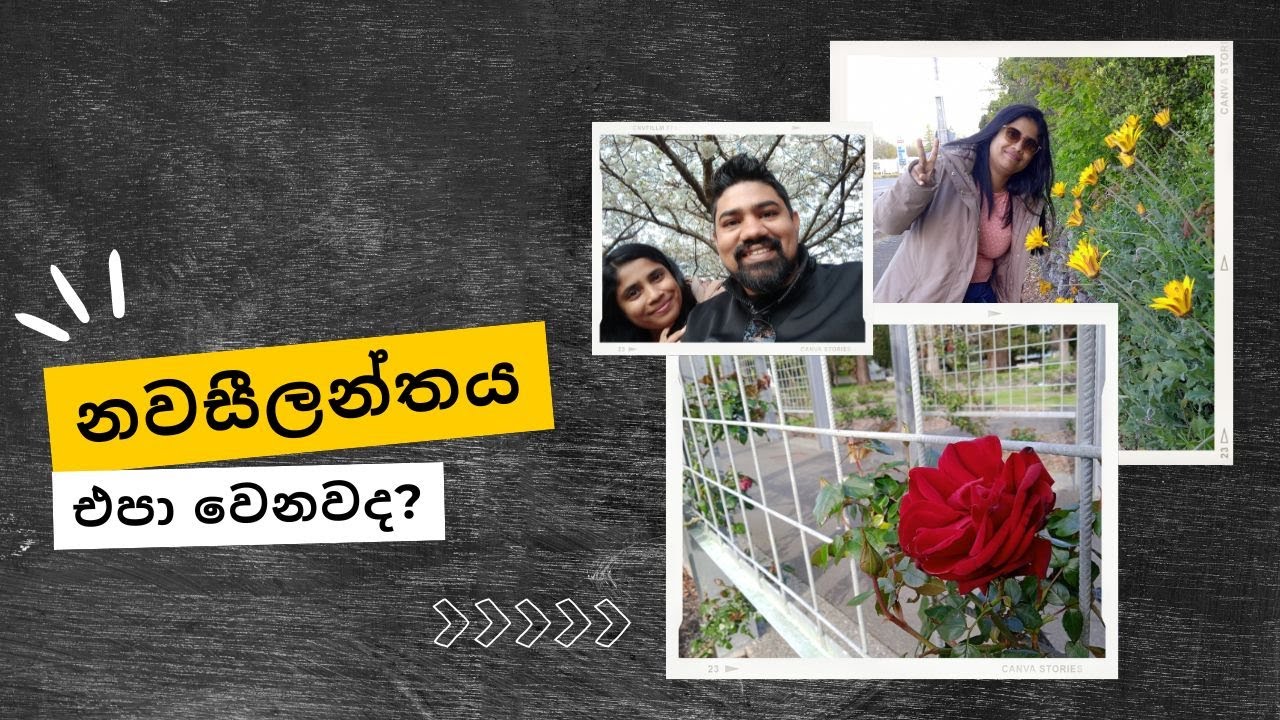 නවසීලන්තයේ ගතකරන තවත් දවසක් ❤️ | Another day in New Zealand | Sinhala vlog