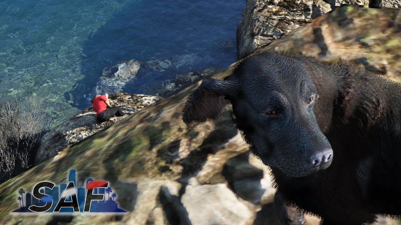 Fire Dog and Campbell in Trouble! [GTA RP] - SAF #25