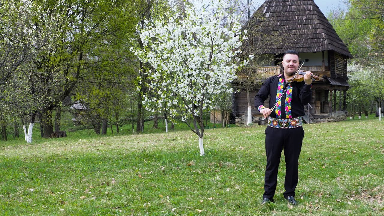 Cosmin Streata-Sarba lui Streata ☎️ 0784311015