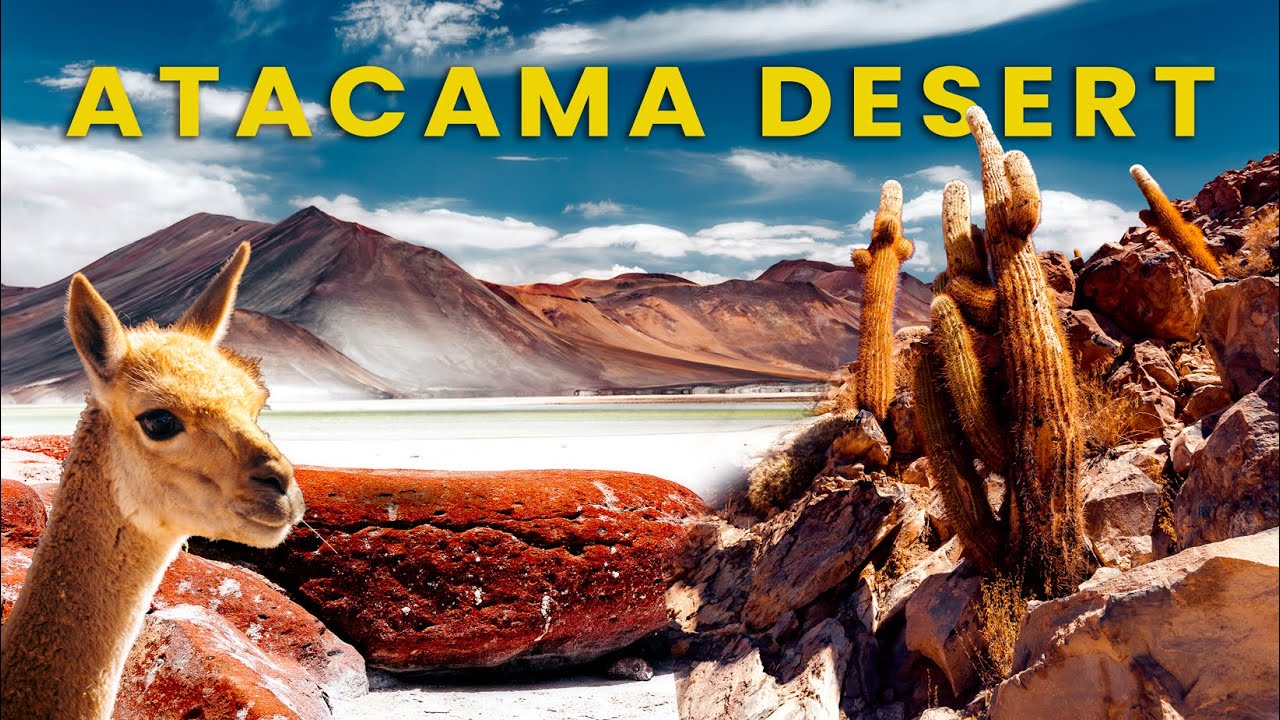 THE ATACAMA DESERT - why should you visit? | 5 days itinerary