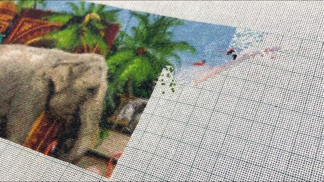 Live #9 [HAED] The Amazing Animal Kingdom (MC)／🗣