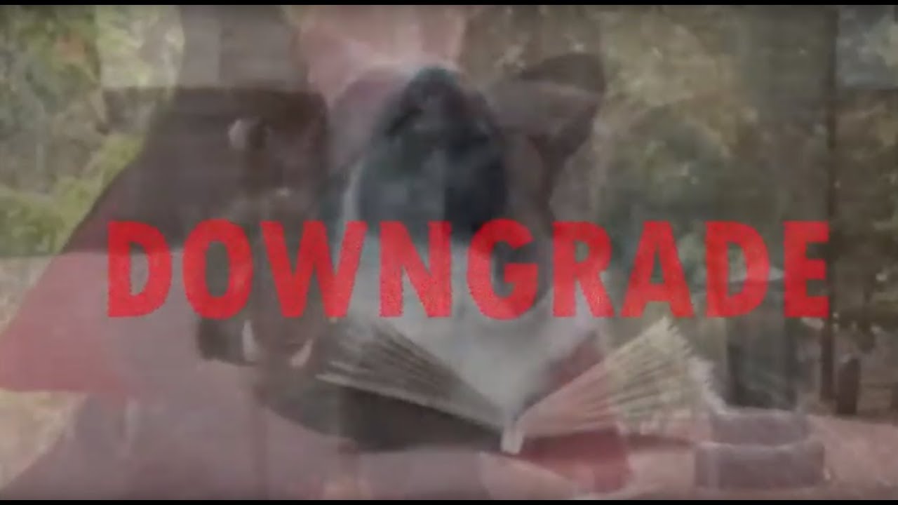 Blader Union Presents: DOWNGRADE A Film by Ryan Benner & Tim Sloan
