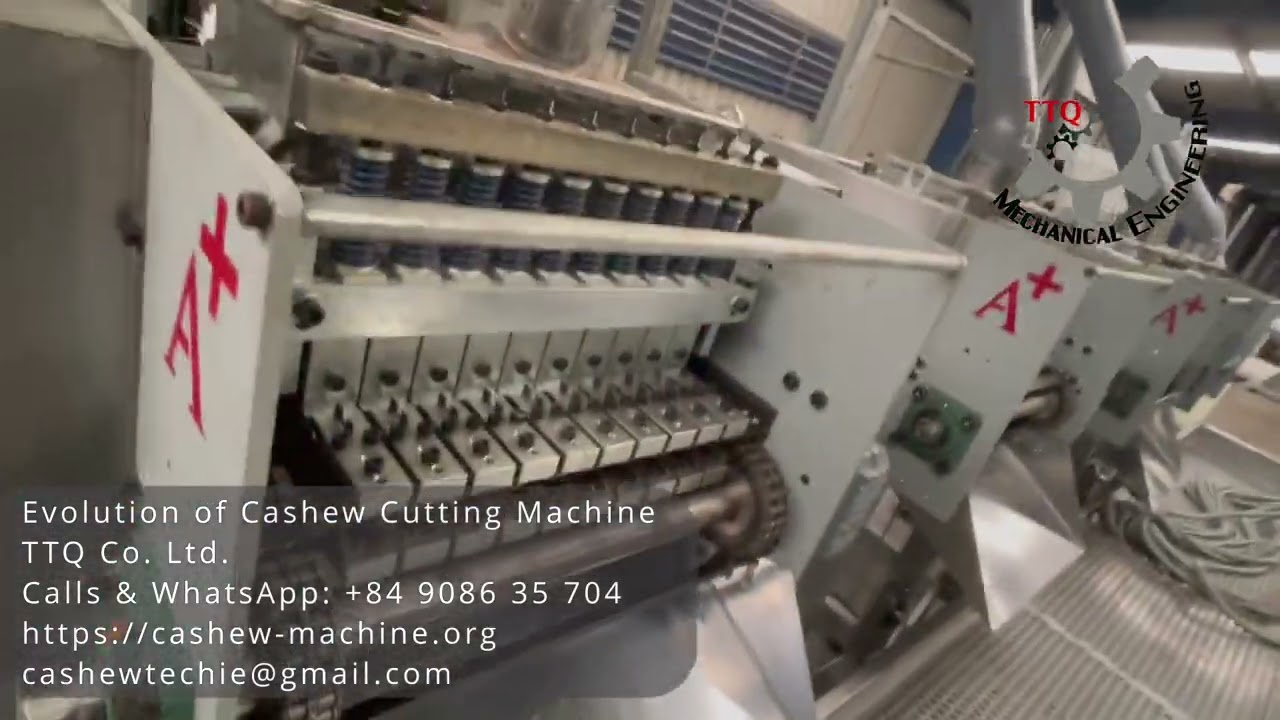 Best Cashew Cutting Machine Manufacturers In The World
