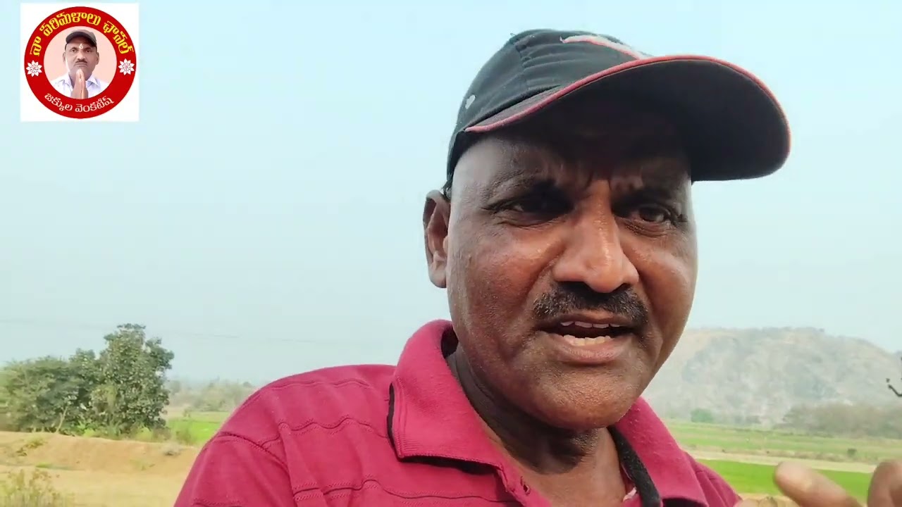 బాబోయ్...