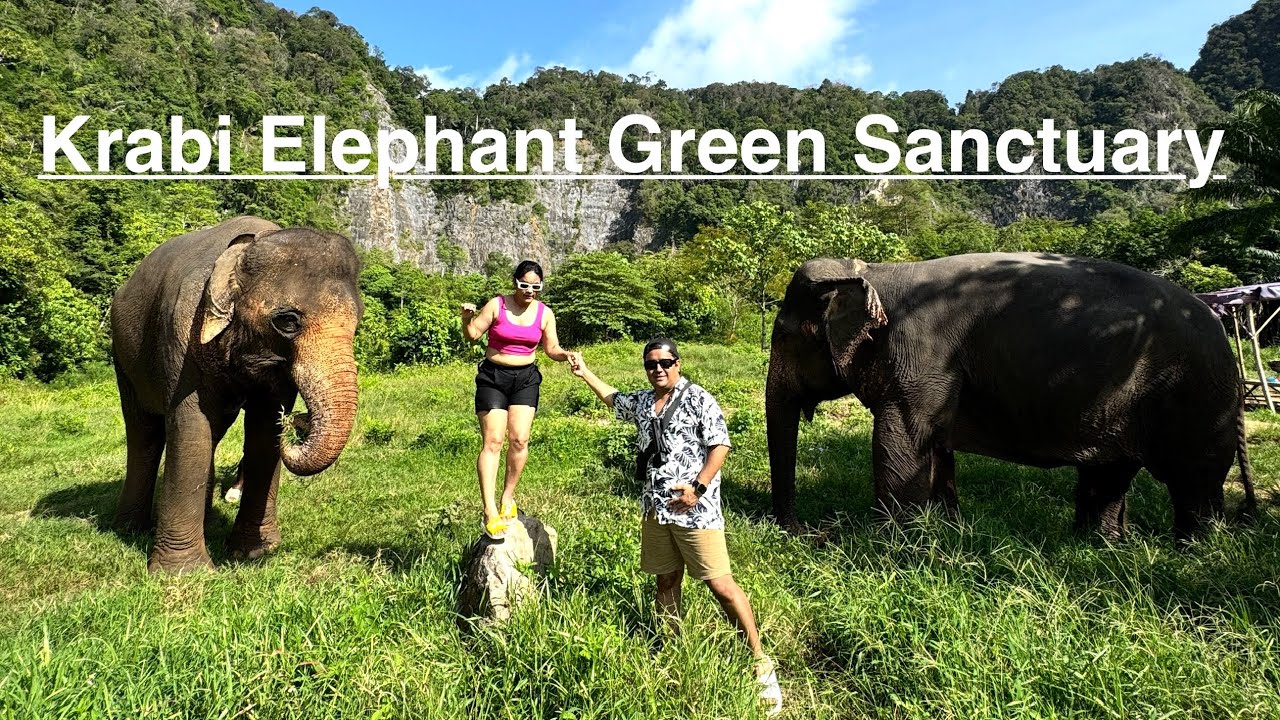 Exploring Krabi Elephant Green Sanctuary: A Safe Haven for Elephants | #KrabiSanctuary #Elephants