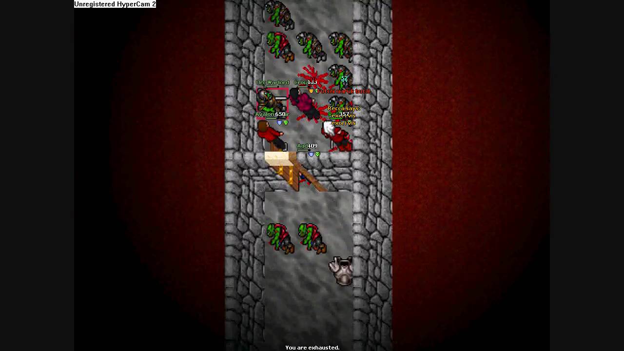 tibia classic