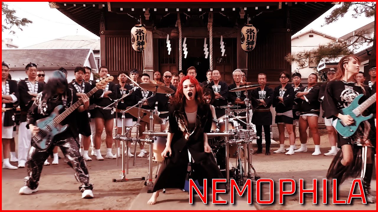 NEMOPHILA | 'Blooming Declaration' M/V Reaction (I Love This Band!)