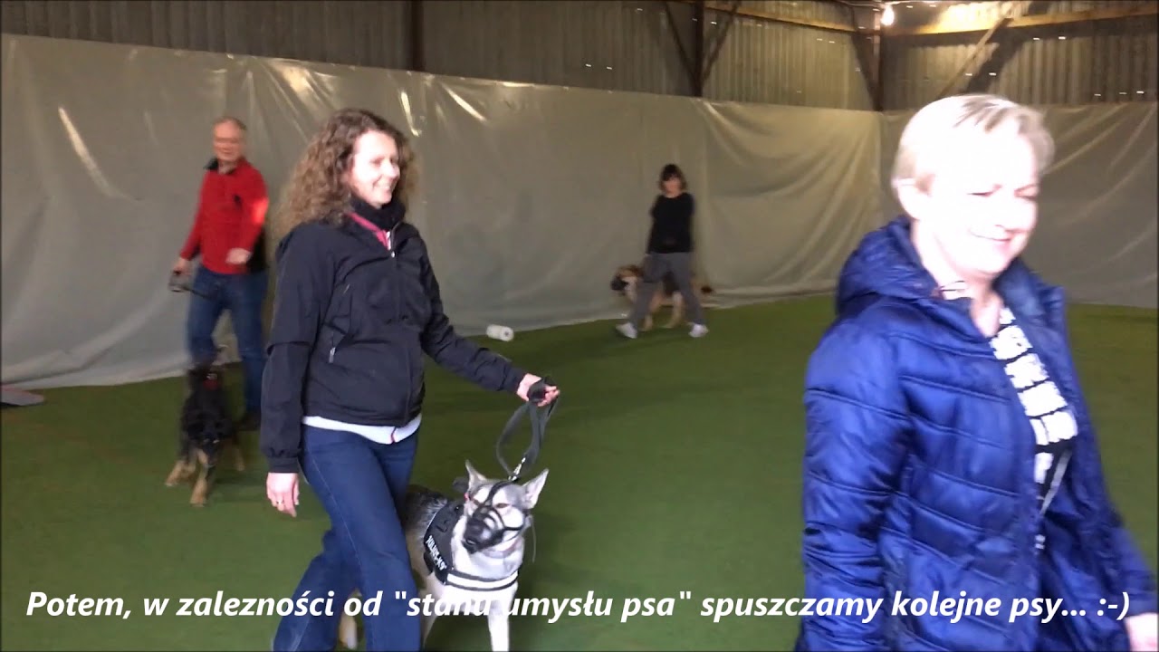 Wesoła Łapka Grodzisk Maz.: Nowe zajęcia: Socjalizacja - Komunikacja