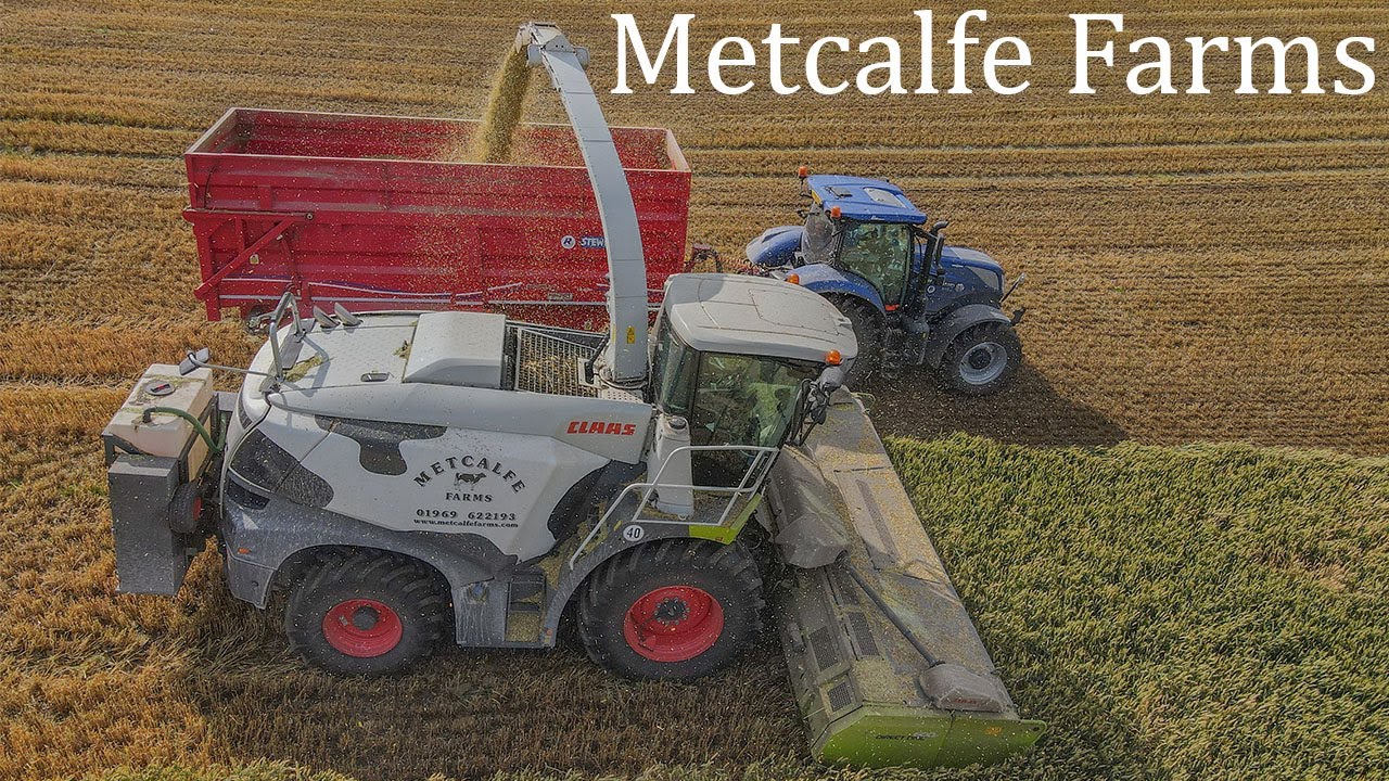 Metcalfe Farms | Wholecrop silage 2021