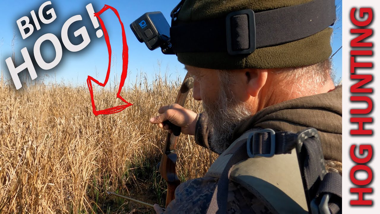 Traditional Bow Hunting Hogs - Marsh Madness Pt. 2