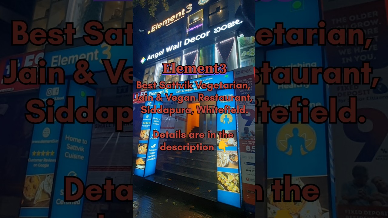 Element3 - Sattvik Vegetarian, Jain & Vegan Restaurant | Siddapura, Whitefield @satyashree_vlogs