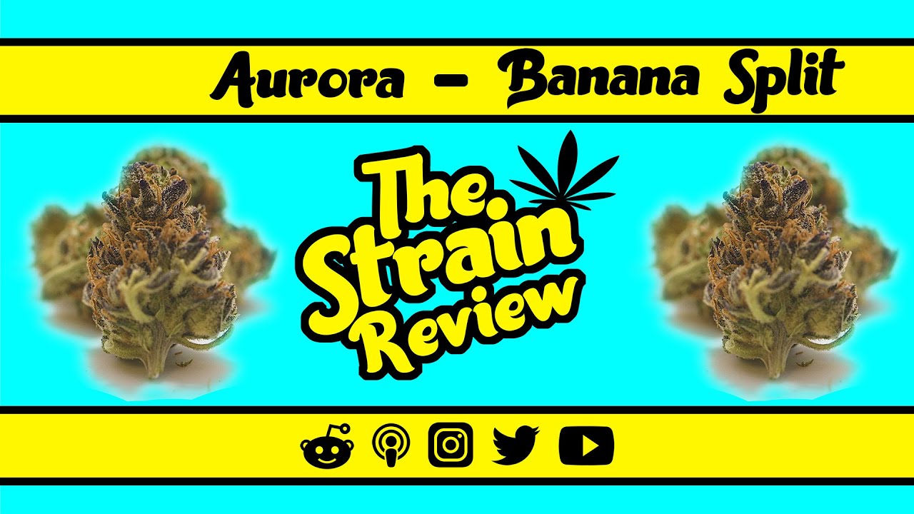 Aurora - Banana Split: Hybrid | The Strain Review