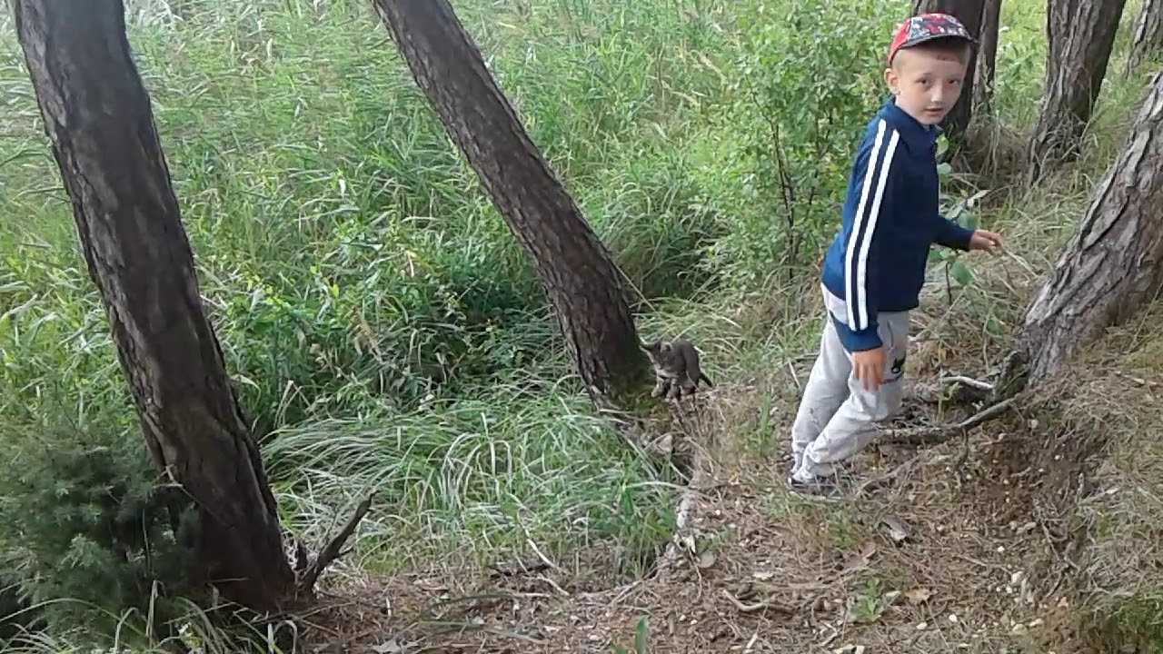 Jestem nad jeziorem Rajgrodzkim w ośrodku Łabędź! To mój drugi Vlog!