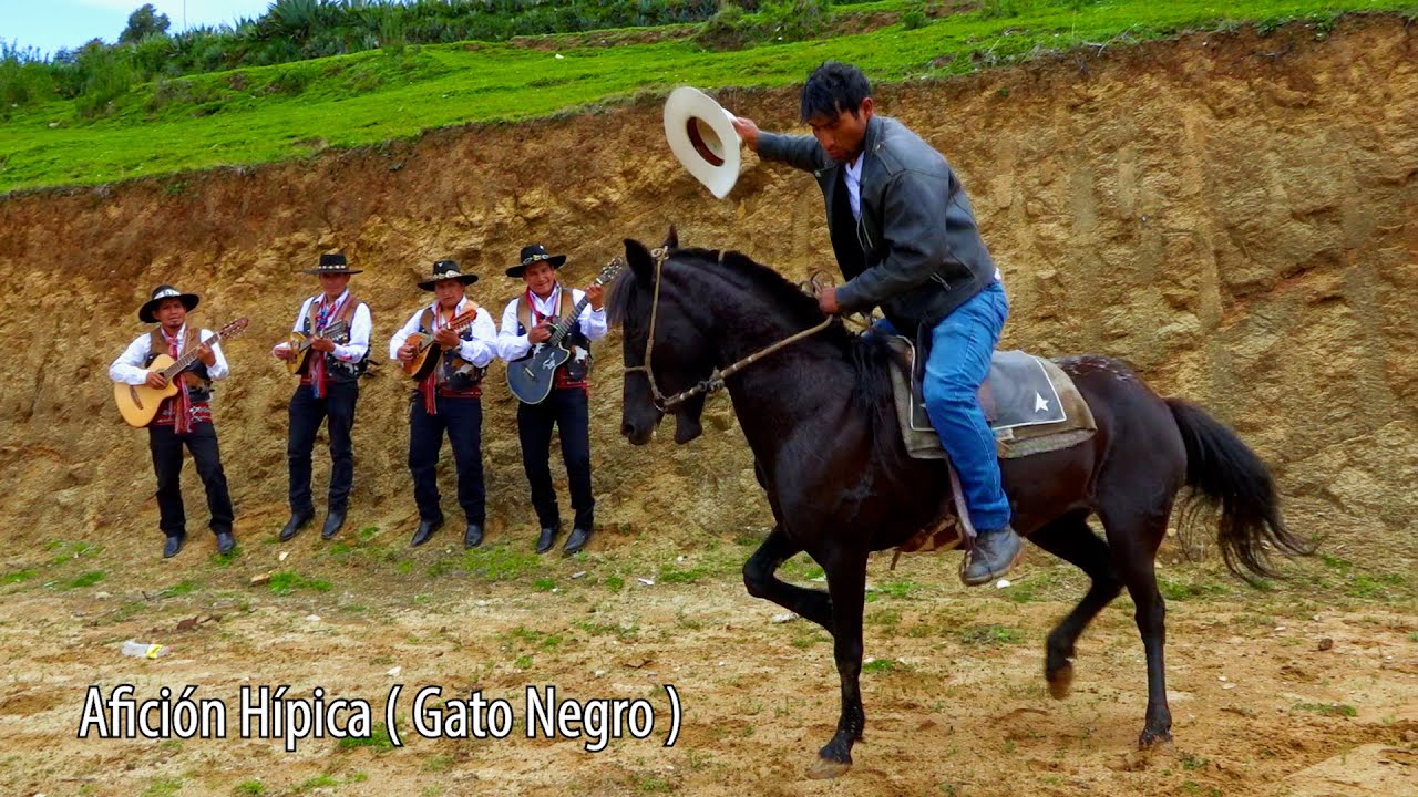 AFICION HIPICA ( Gato Negro ) - CONJUNTO YURINGA DE GRAU - VIDEO CLIP OFICIAL
