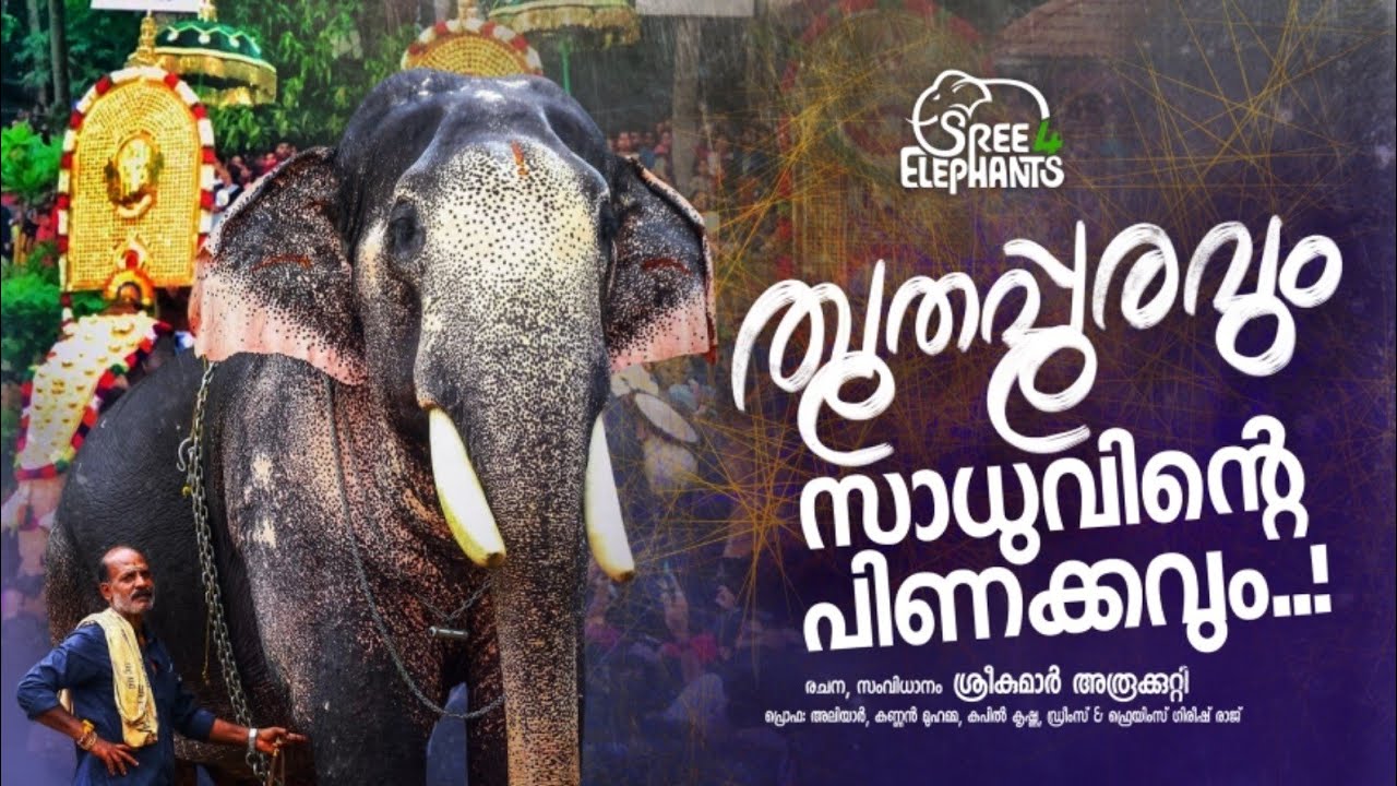 വള്ളുവനാടിന്റെ ആനമാമാങ്കത്തിൽ പുതുപ്പള്ളി സാധുവിന്റെ  പൂഴിക്കടകൻ ...!