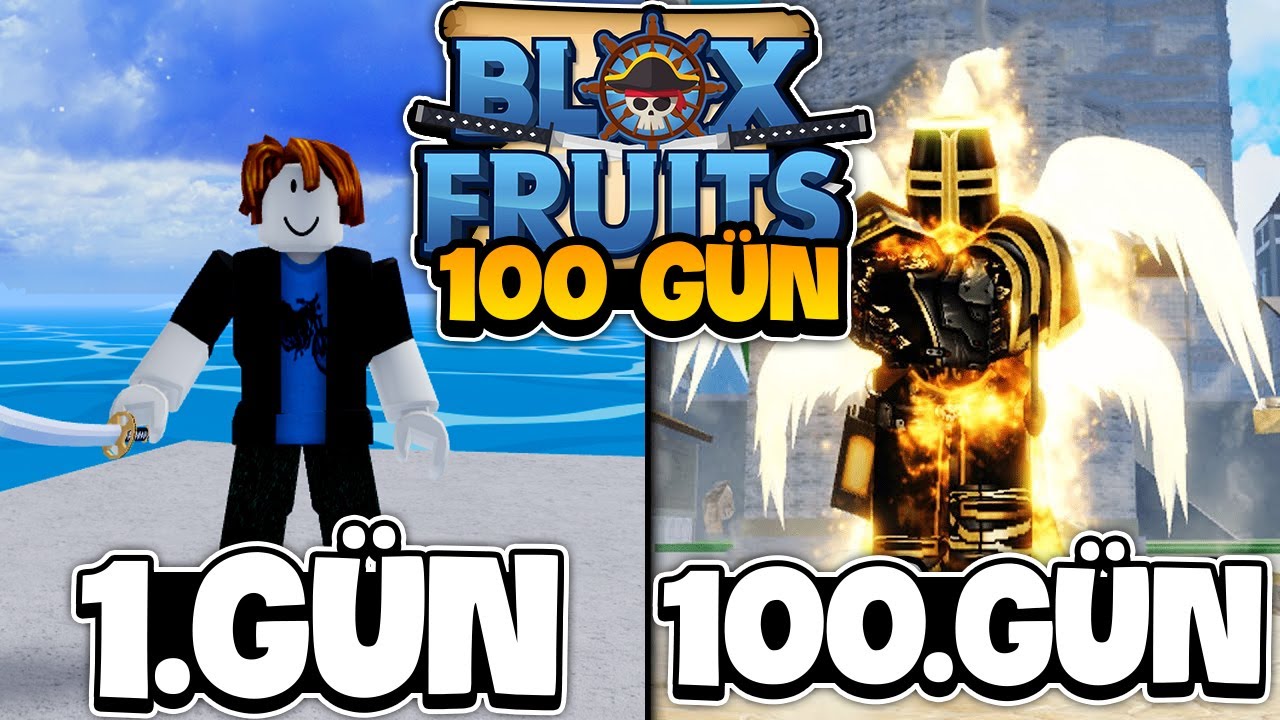 Roblox'ta 100 Gün Blox Fruit Oynadım Ve İşte Olanlar | Part 1