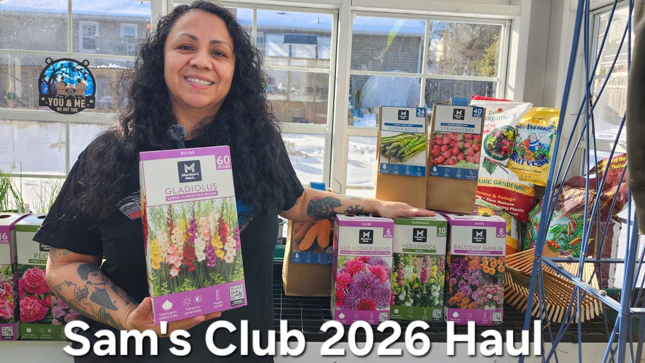 Sam's Club 2026 Bare Roots Plant Haul 2026