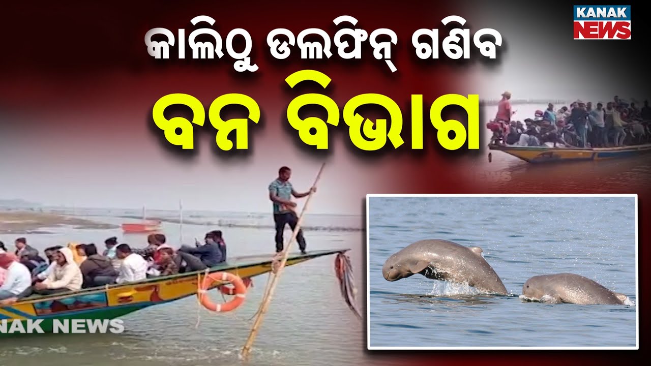 Rare Dolphin Census Begins Tomorrow in Chilika, Boat Movement Banned Till Noon for 3 Days