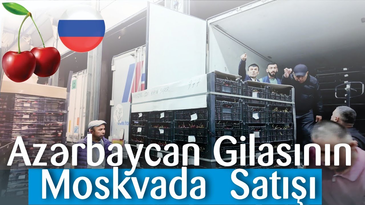 Azərbaycan Gilasının Moskvada Satışı