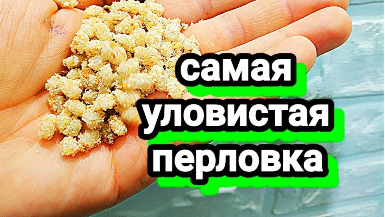 Уловистая перловка. КАК ПРИГОТОВИТЬ УЛОВИСТУЮ ПЕРЛОВКУ ДЛЯ РЫБАЛКИ