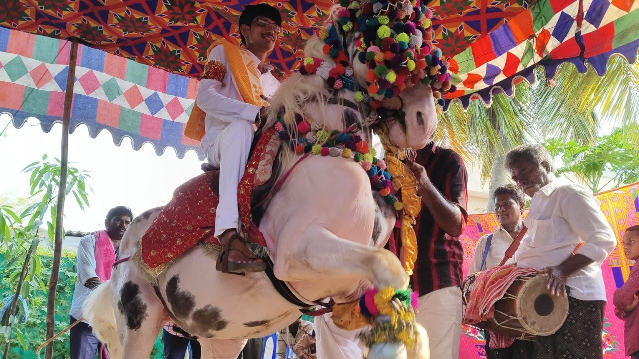 Guntur Jilla horse dance Full video