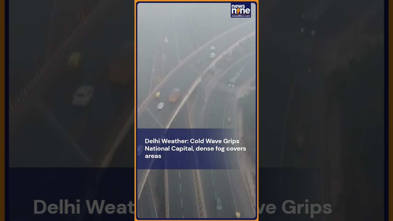 Delhi Weather: Cold Wave Grips City | Dense Fog Covers Areas