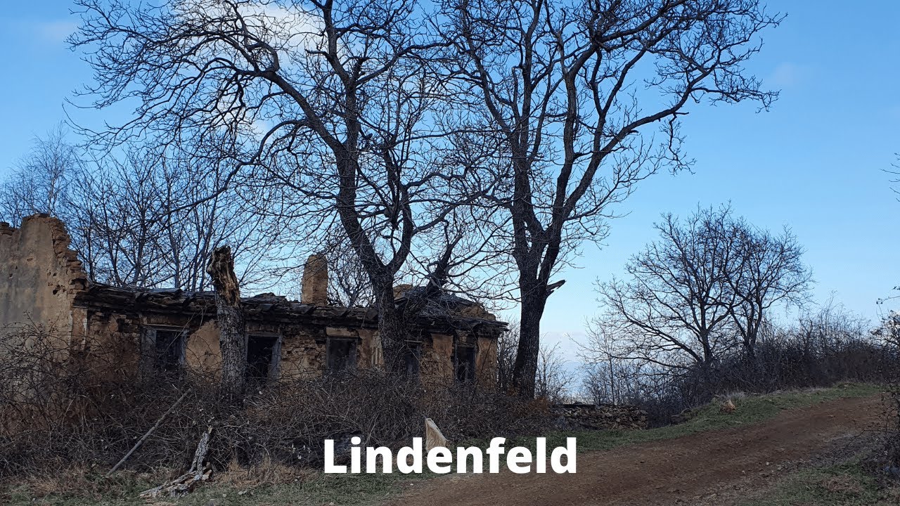 Lindenfeld