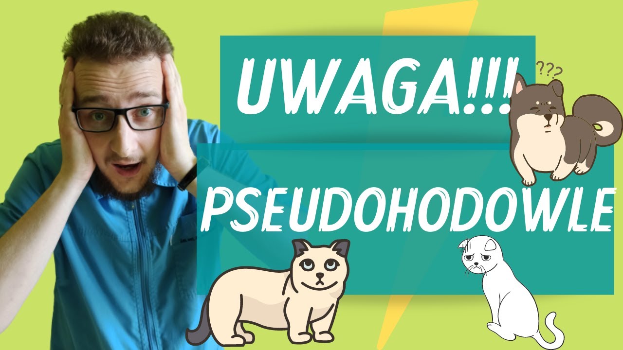 UWAGA! PSEUDOHODOWLE! - #25